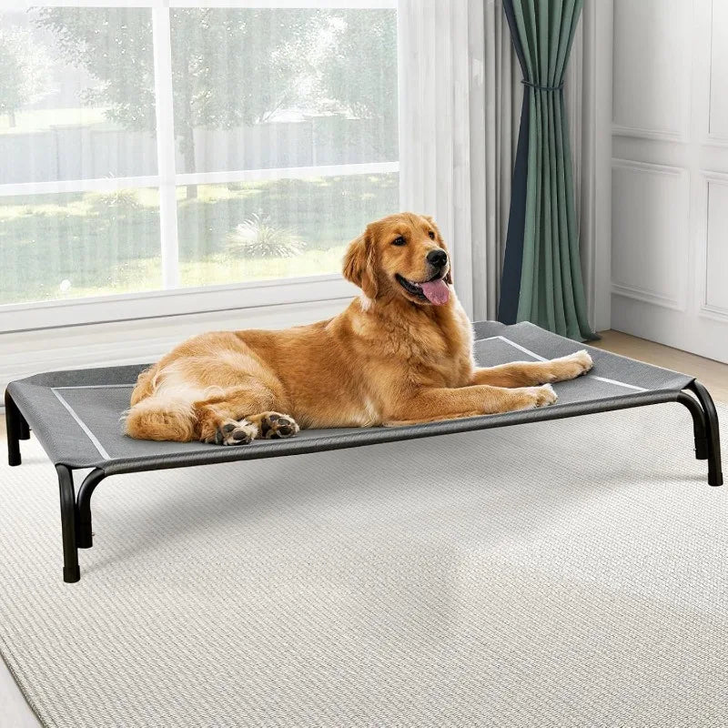 Elevated Dog Bed, Raised Outdoor Dog Bed