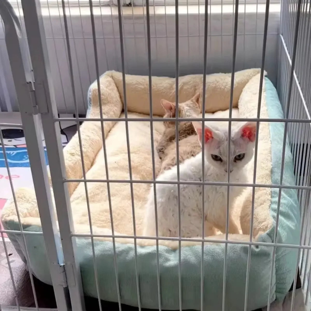 Plush Kennel Warm Thickened Cat Bed