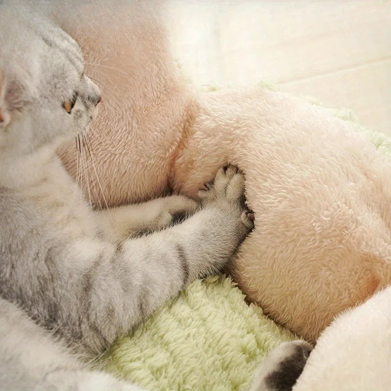 Warm Beds Winter Dog Mat