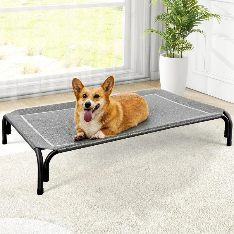 Elevated Dog Bed, Raised Outdoor Dog Bed