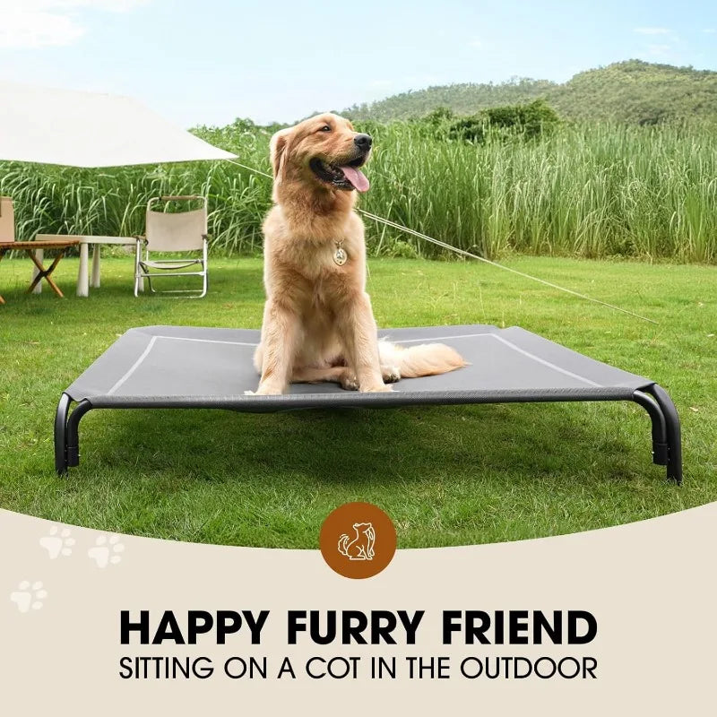 Elevated Dog Bed, Raised Outdoor Dog Bed