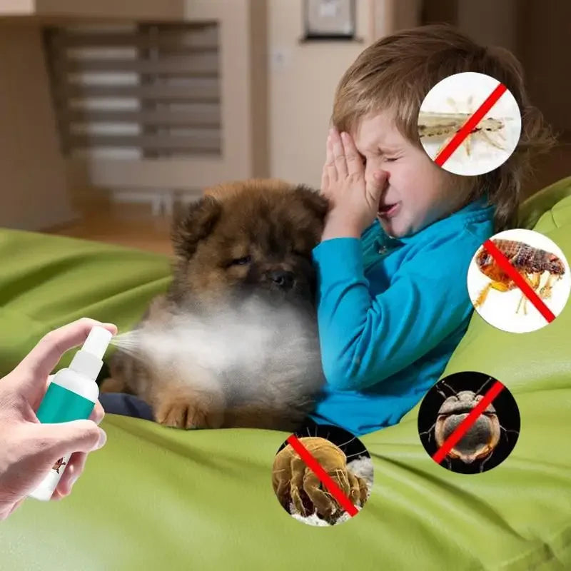 Expel Fleas Pet Lice Treatments Spray