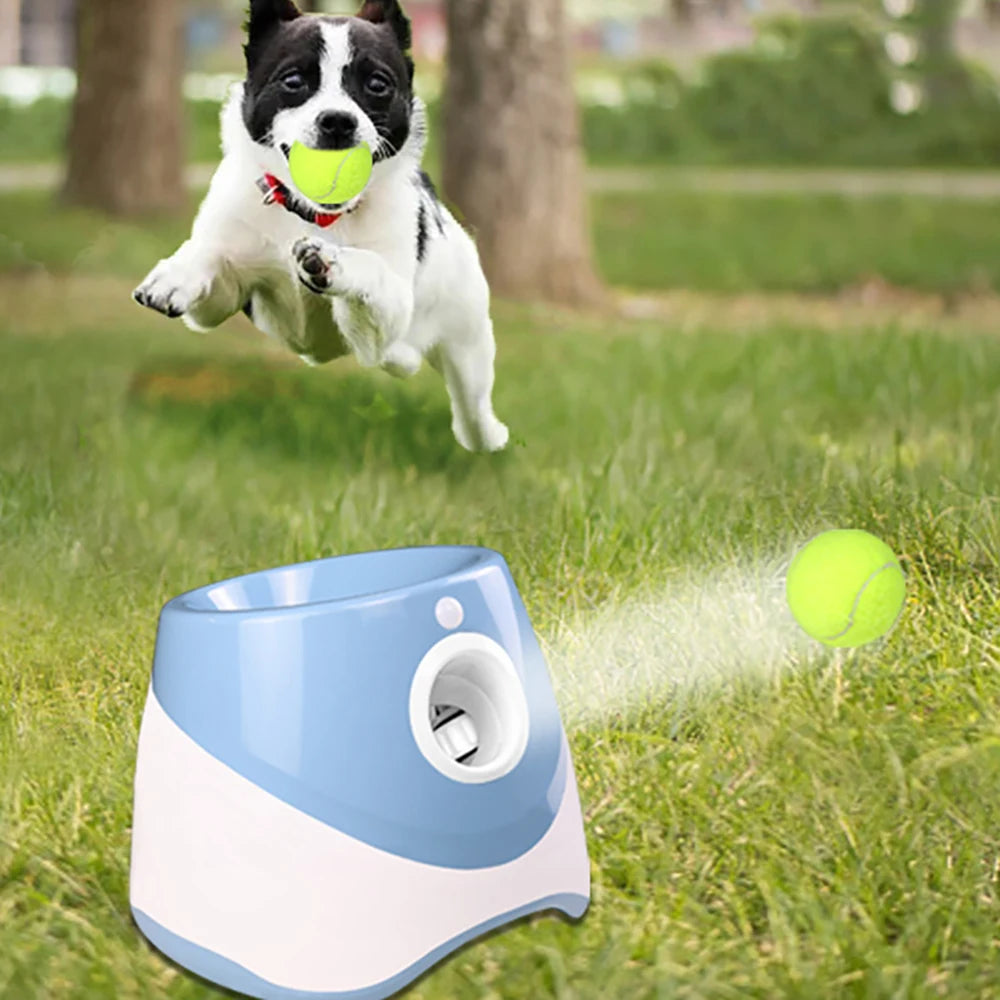 Ball Launcher Toy For Dogs