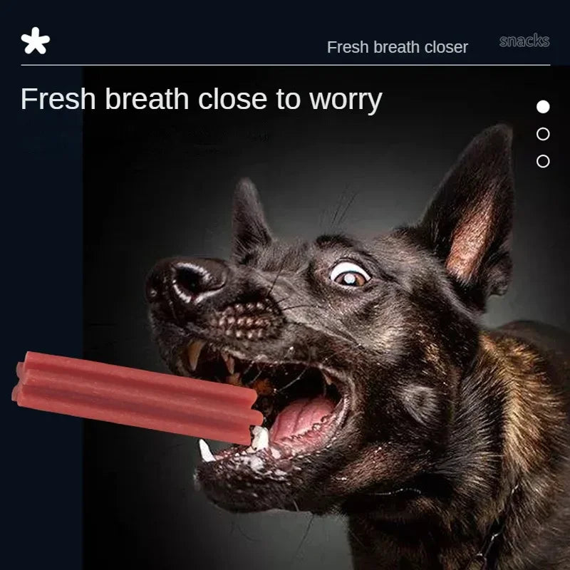 Dog Chewing Dental Snacks